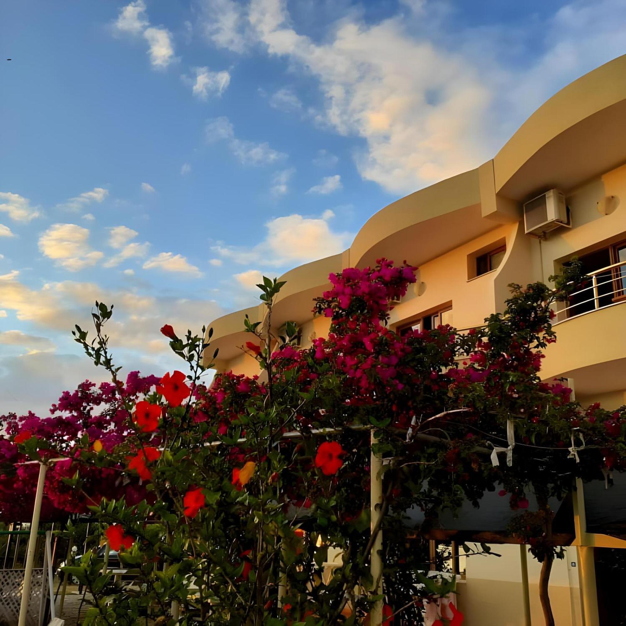 Hotel Sirena Radhimë Εξωτερικό φωτογραφία